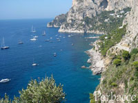 Capri3.jpg